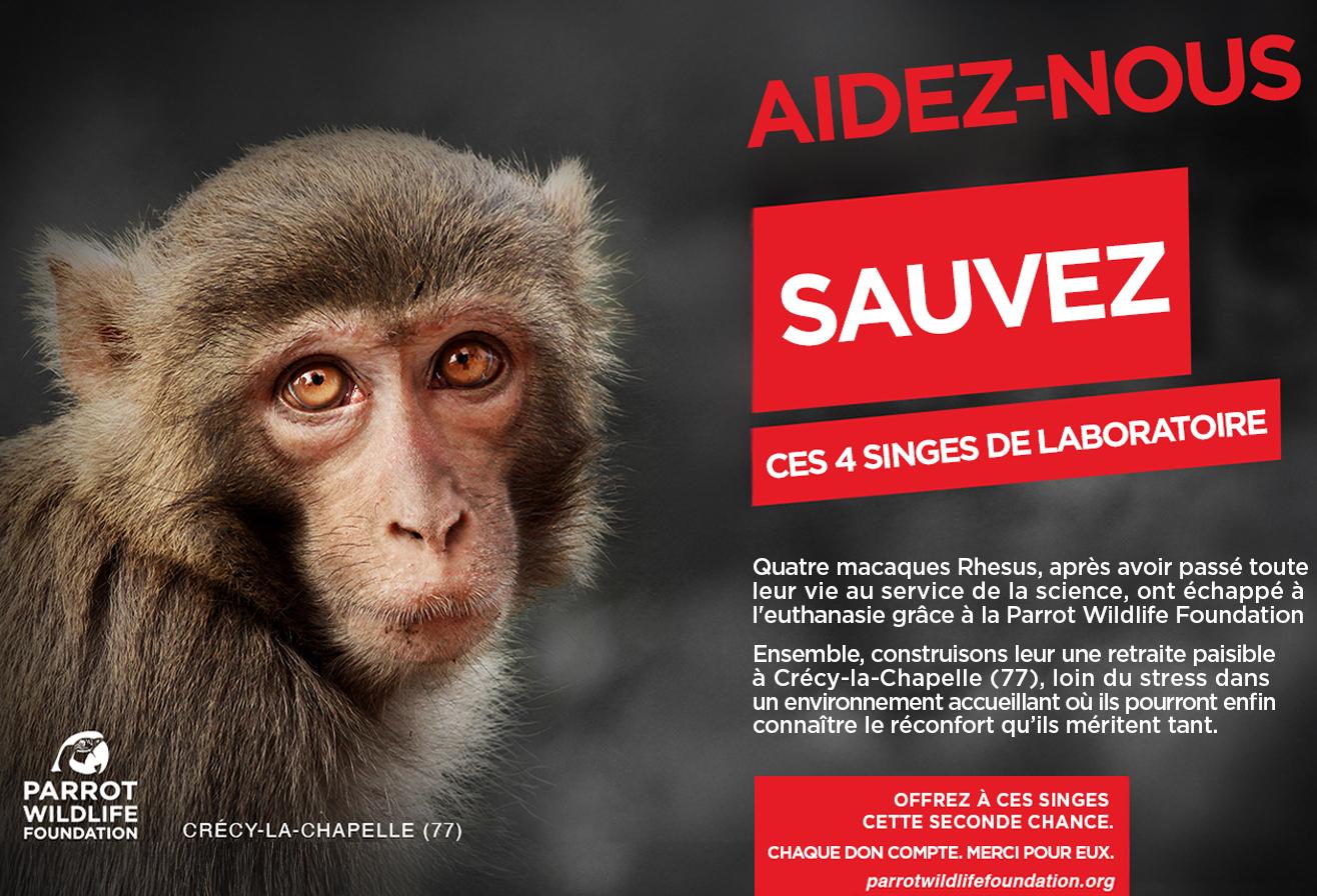 Macaques PWLF
