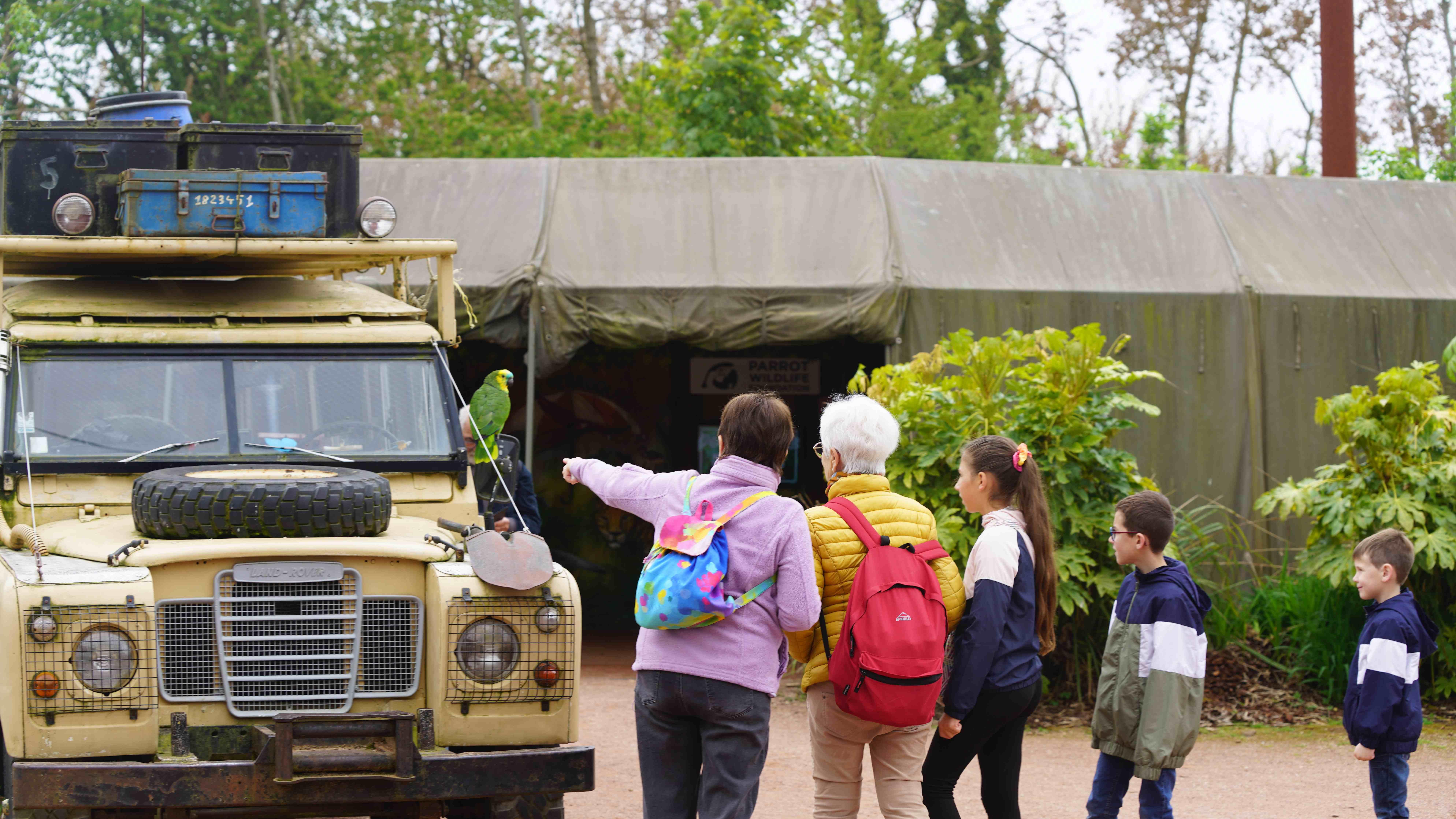 Parrot World - Immersion 18