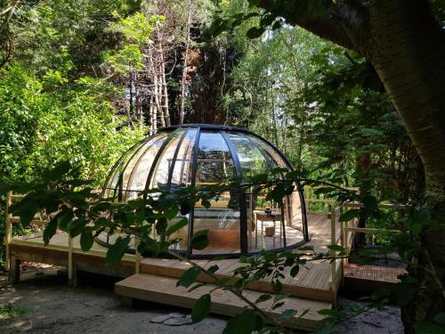 Hébergement insolite en pleine nature avec des animaux en France