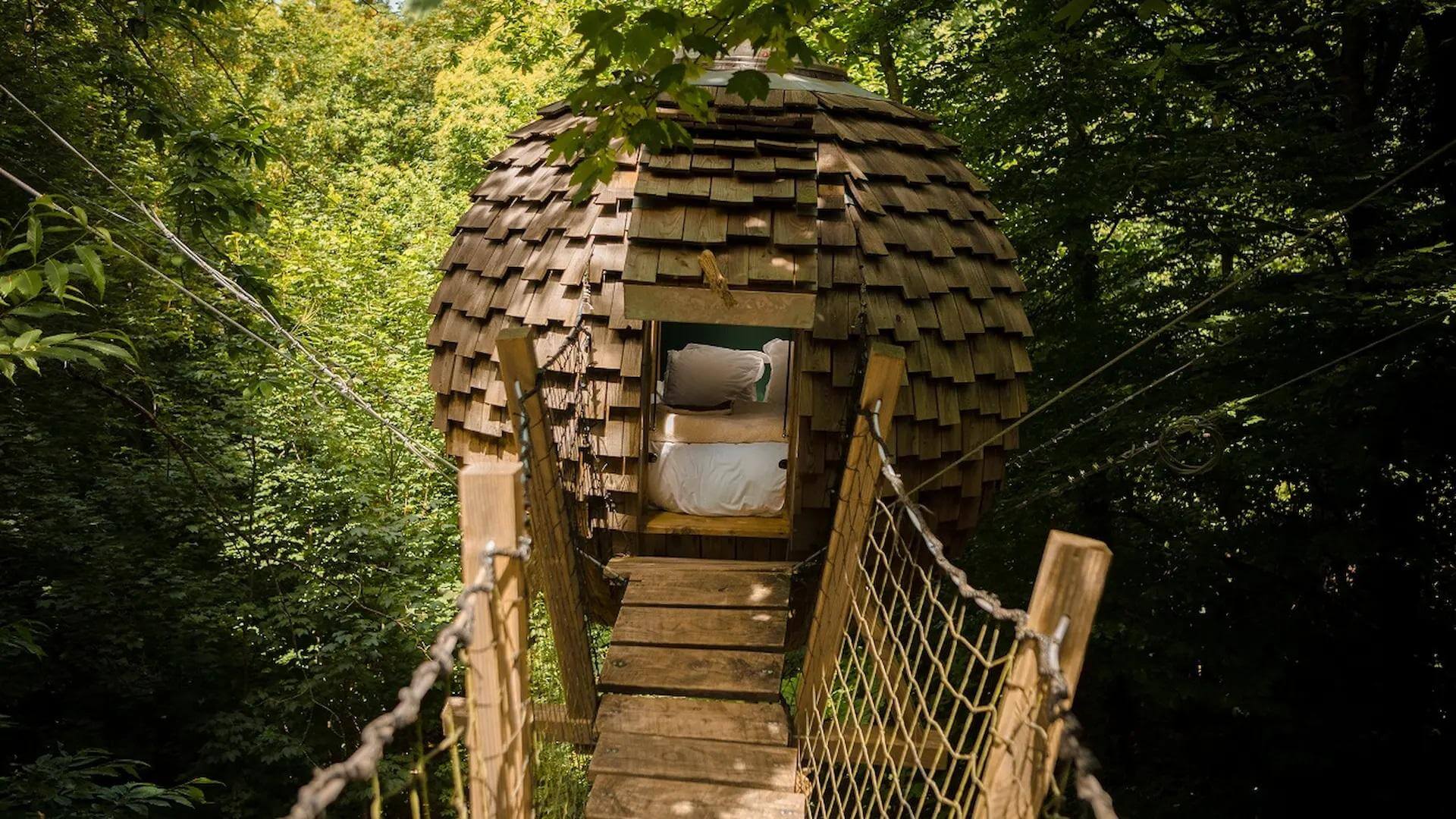 Dormir avec les animaux dans les arbres - Nuit en cabane insolite