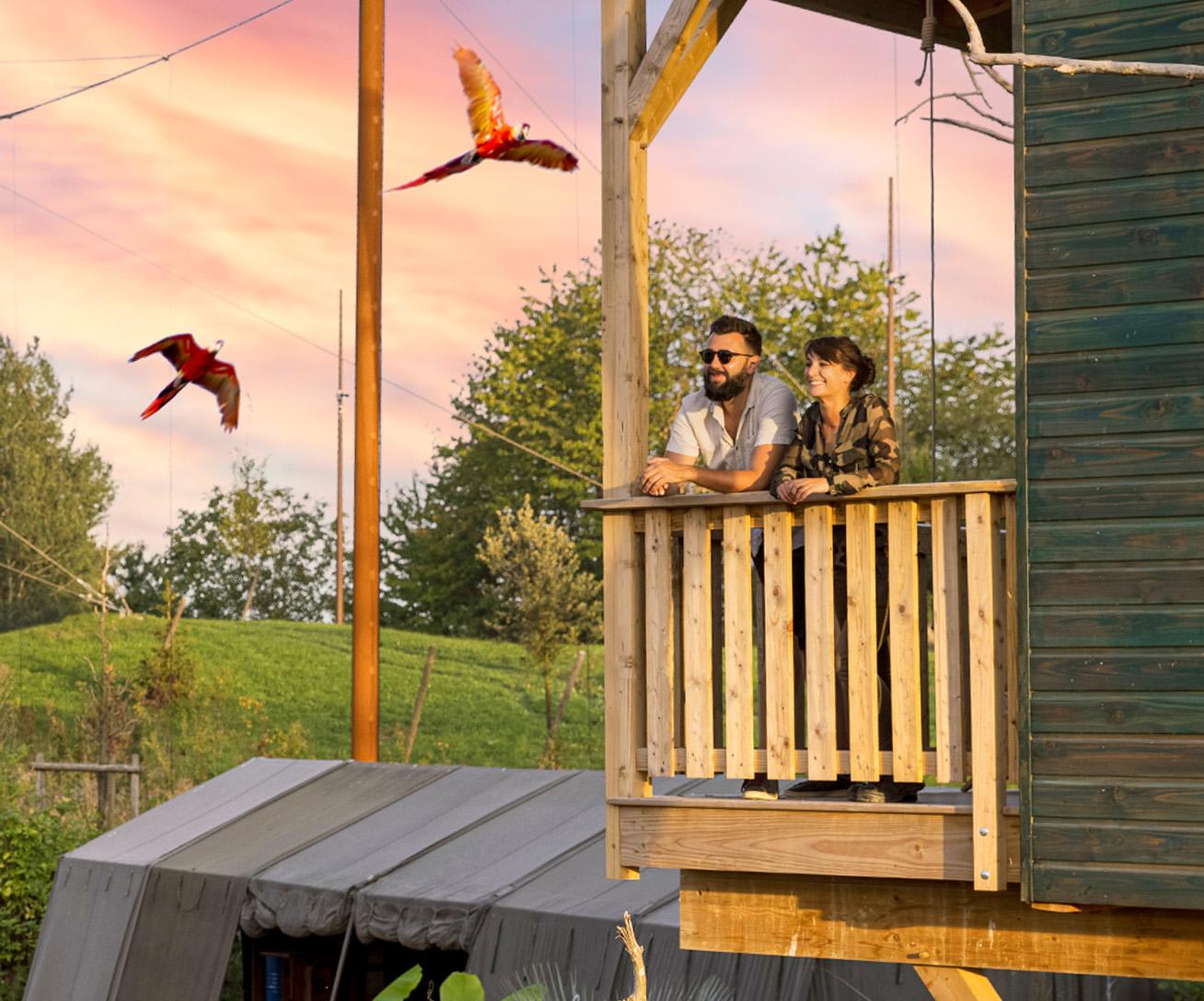 Hébergement insolite à Parrot World avec vue directe sur les perroquets, pour vivre une nuit immersive et dormir avec les animaux en France