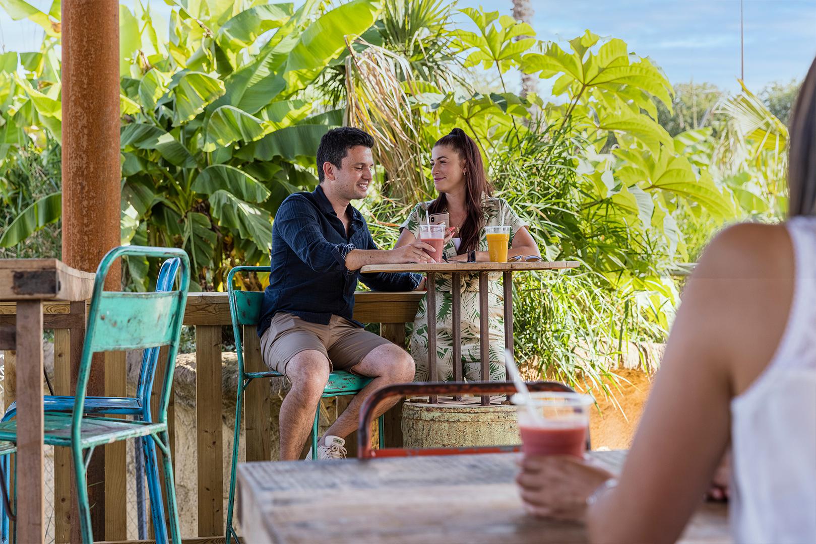 Carbet-Manger : restauration à Parrot World. Le parc animalier immersif proche de Paris - Décor Amérique du Sud