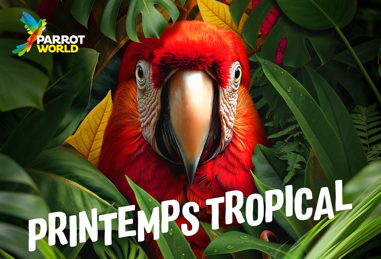 Vacances Printemps 2026 à Parrot World - Printemps Tropical