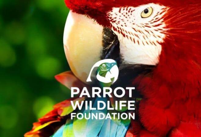 Parrot Wildlife Foundation