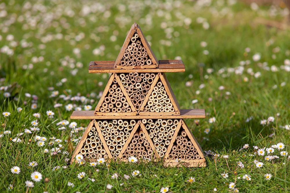 Chemin de la biodiversité 