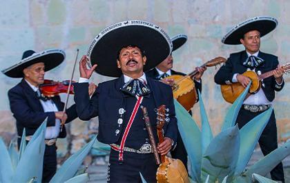 Concert mariachi Dia de Los Muertos Parrot World