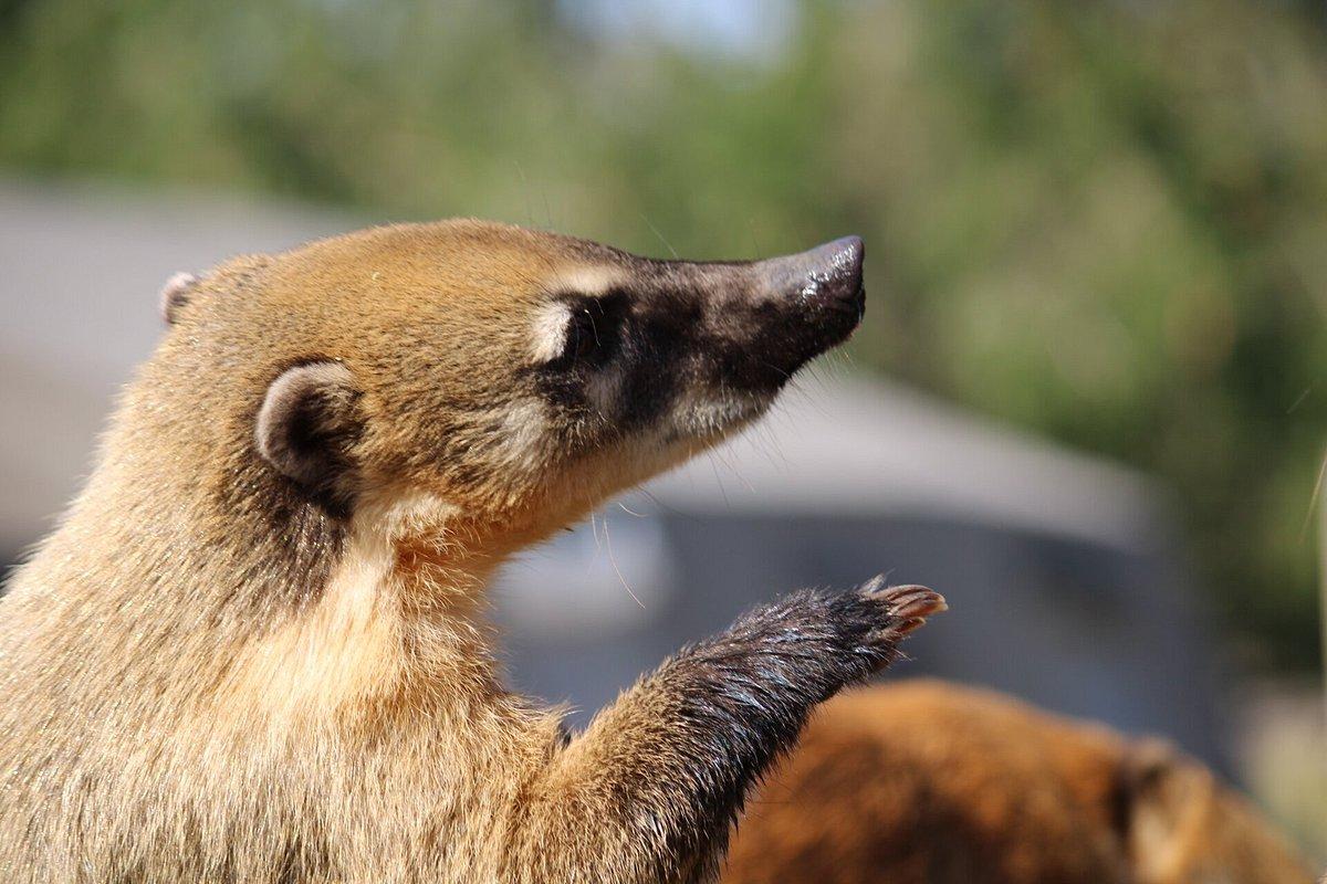 Vanessa E - Avis Trip Advisor