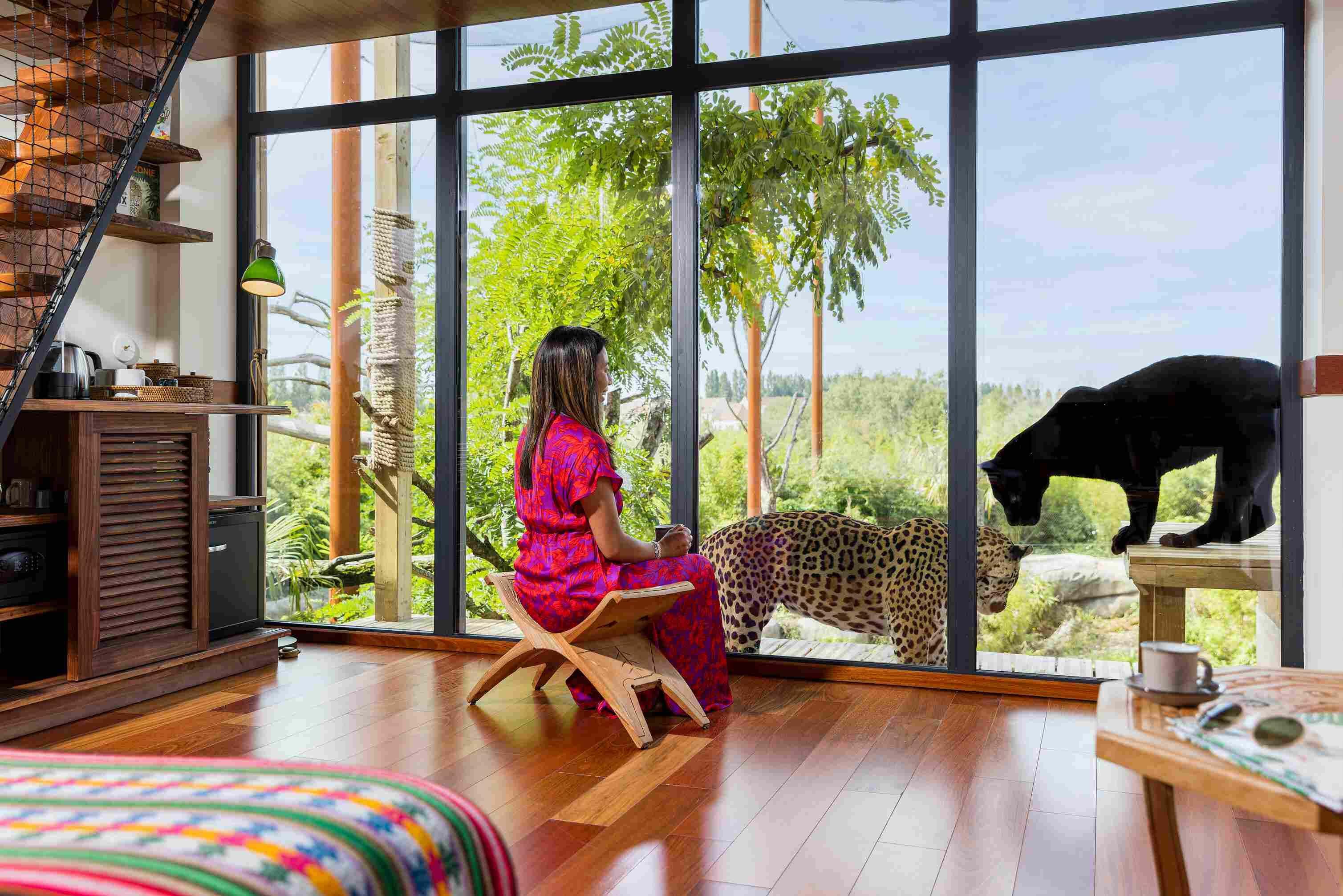 Dormir avec les animaux - Lodges Jaguar 2 - Parrot World