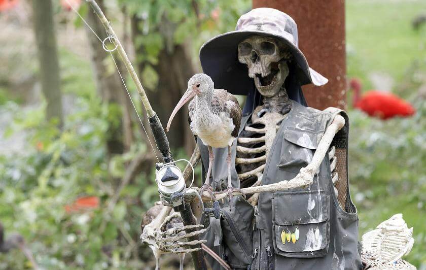 Dia De Los Muertos 2025 - Exposition de dinosaures à Parrot World 2025