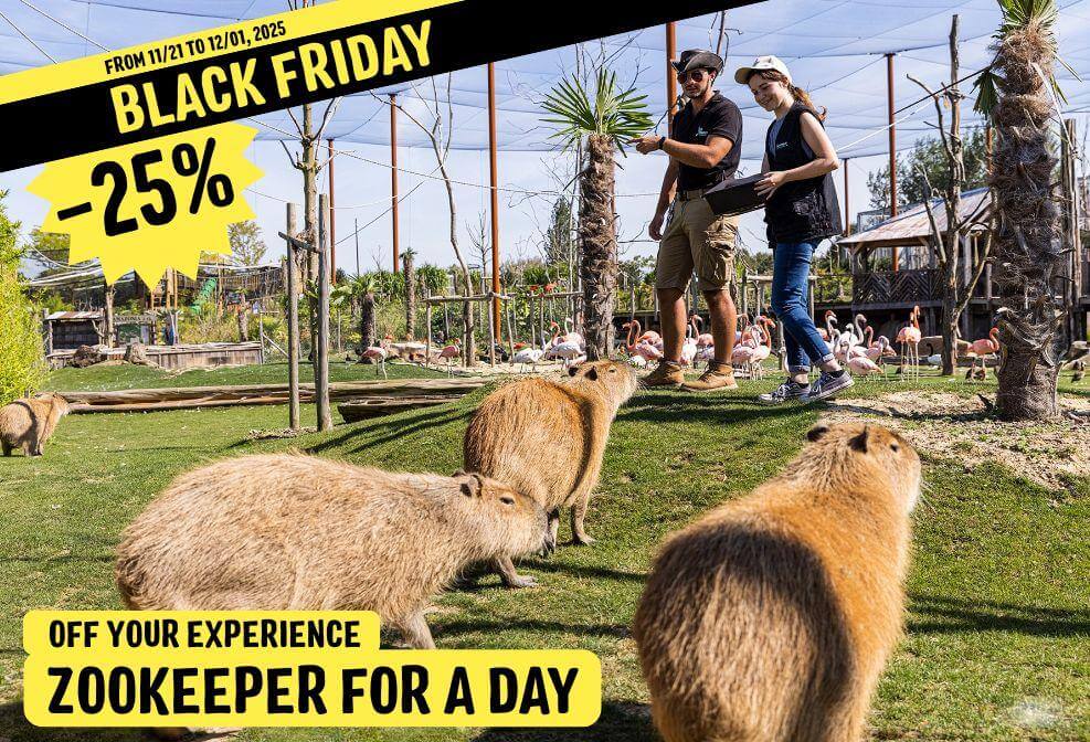 Black Friday - Parrot World - 25% de réduction sur Soigneur d'un jour EN