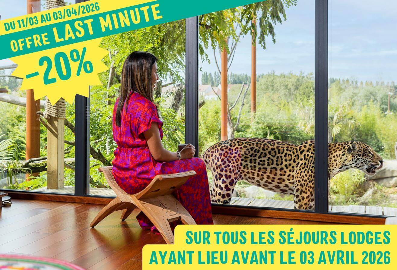 Offre last minute séjours lodges Parrot World - Dormir avec les animaux pas cher