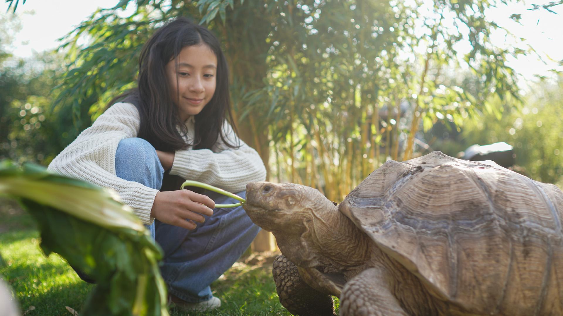Activité Nourrir les Tortues à Parrot World - Que faire pour le pont de l'Ascension 2026 en Île-de-France