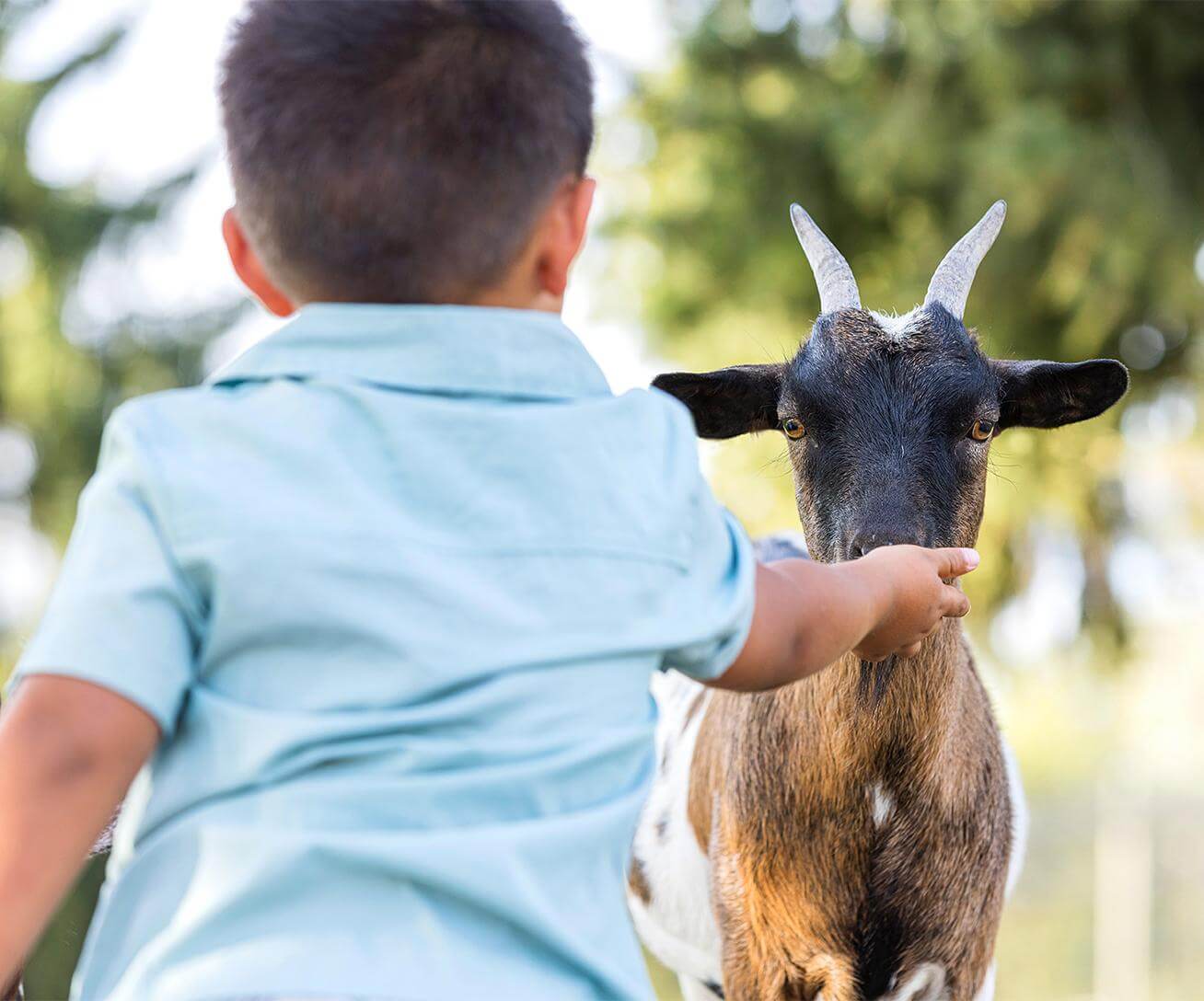 Parrot World immersive zoo - Mini-farm with child petting a goat - Things to do near Disneyland Paris - Complete Guide