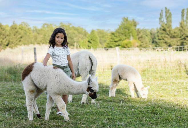 Parrot World - Ranch de Enfants 1 ©Ronan ROCHER