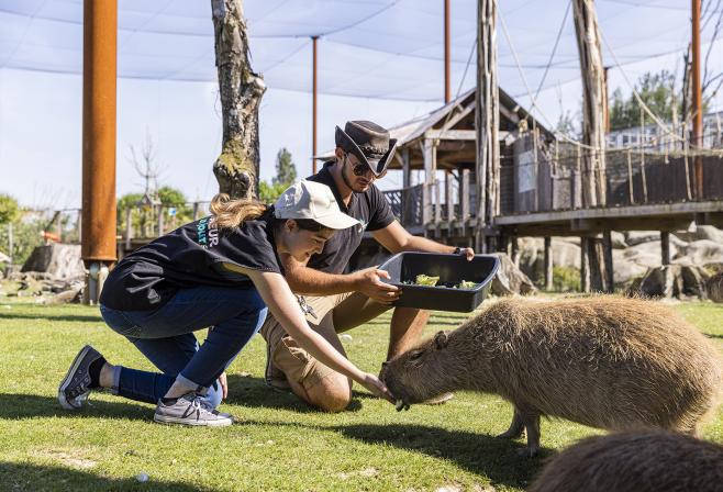 Parrot World - Soigneur d'un Jour 3 ©Ronan ROCHER