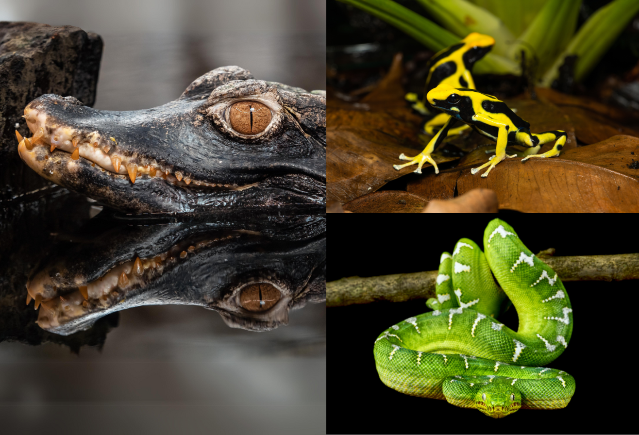 Hall de la Biodiversité