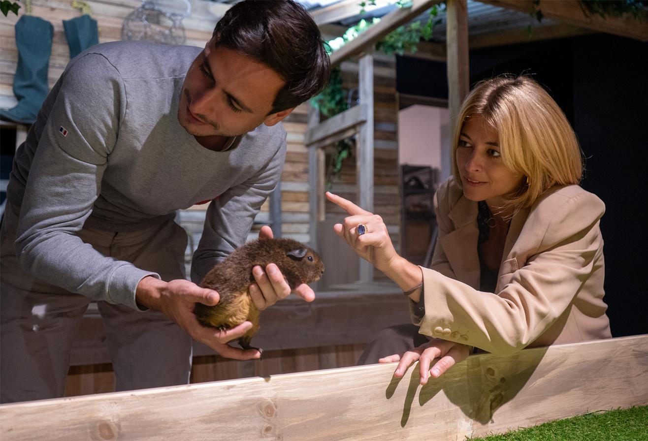 Le Monde de Noë - Sortie immersive Île-de-France