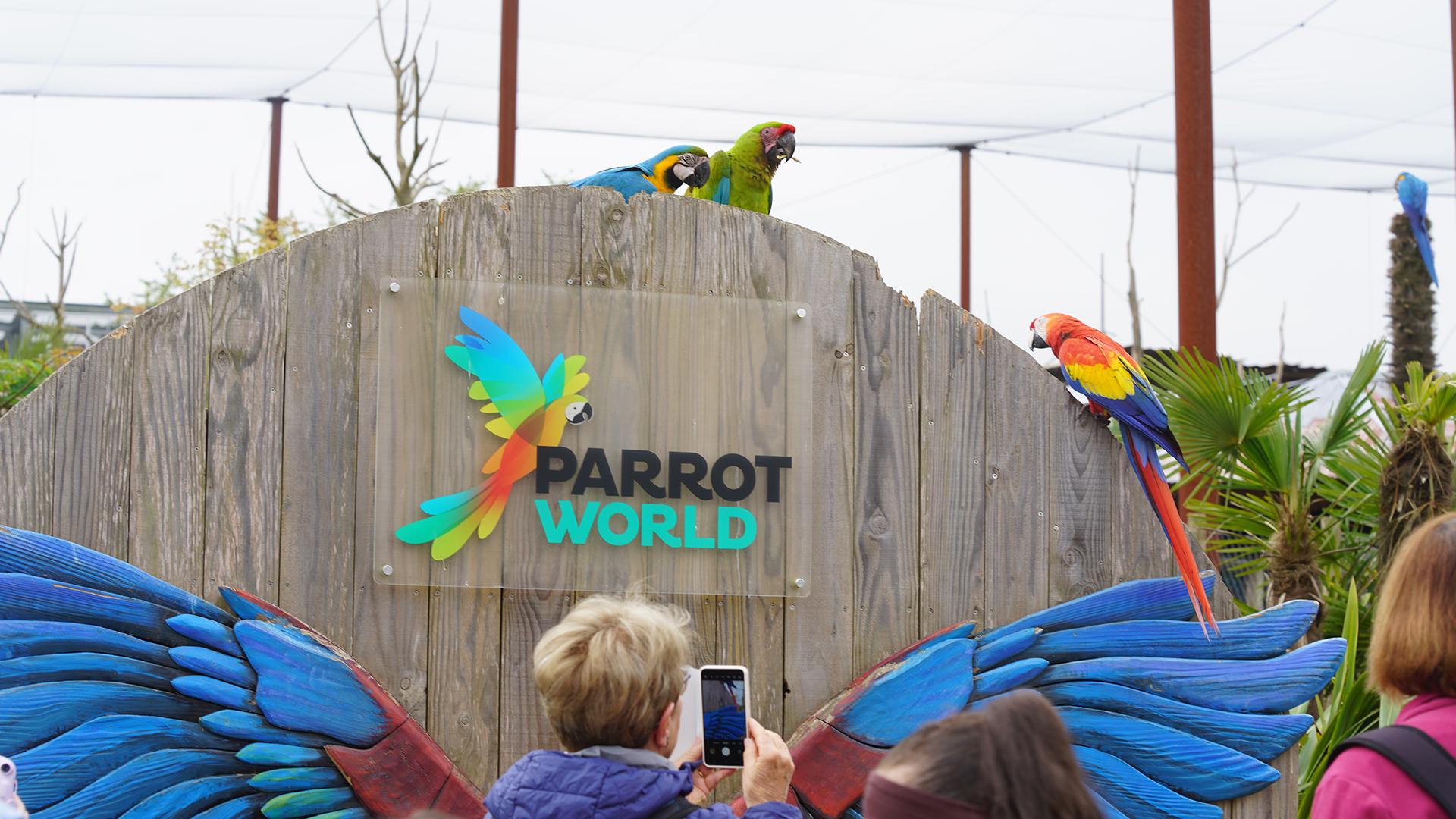 Parrot World parc animalier immersif - Volière géante d'Amazonie - Groupe face à des perroquets - Que faire autour de Disneyland Paris - Le Guide Complet