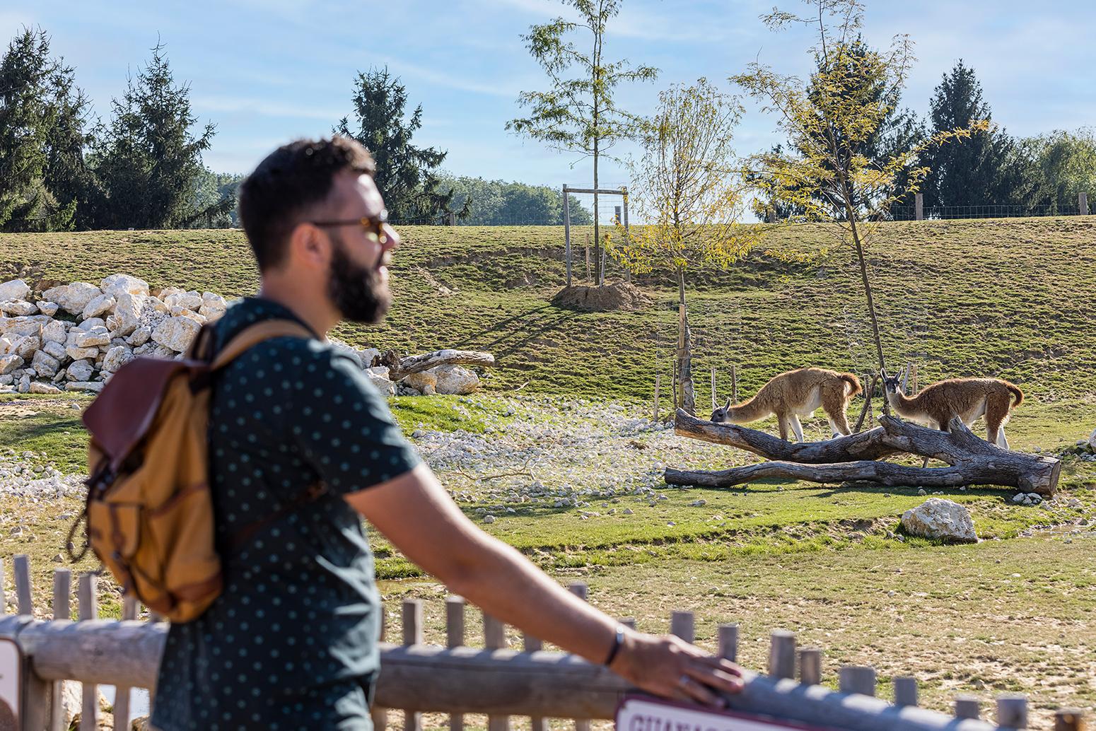 Parrot World - Patagonia Trek 5 ©Ronan ROCHER