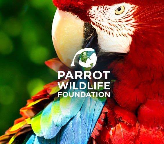 Parrot Wildlife Foundation