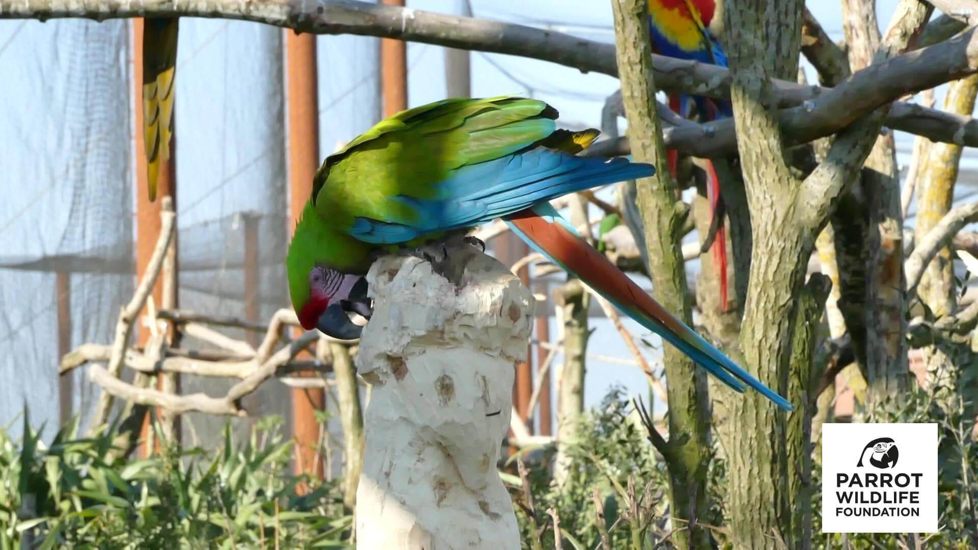 ara sculpture don pwlf web.jpg