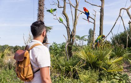 Parrot World - Amazonia Trek 9 ©Ronan ROCHER - 150dpi.jpg