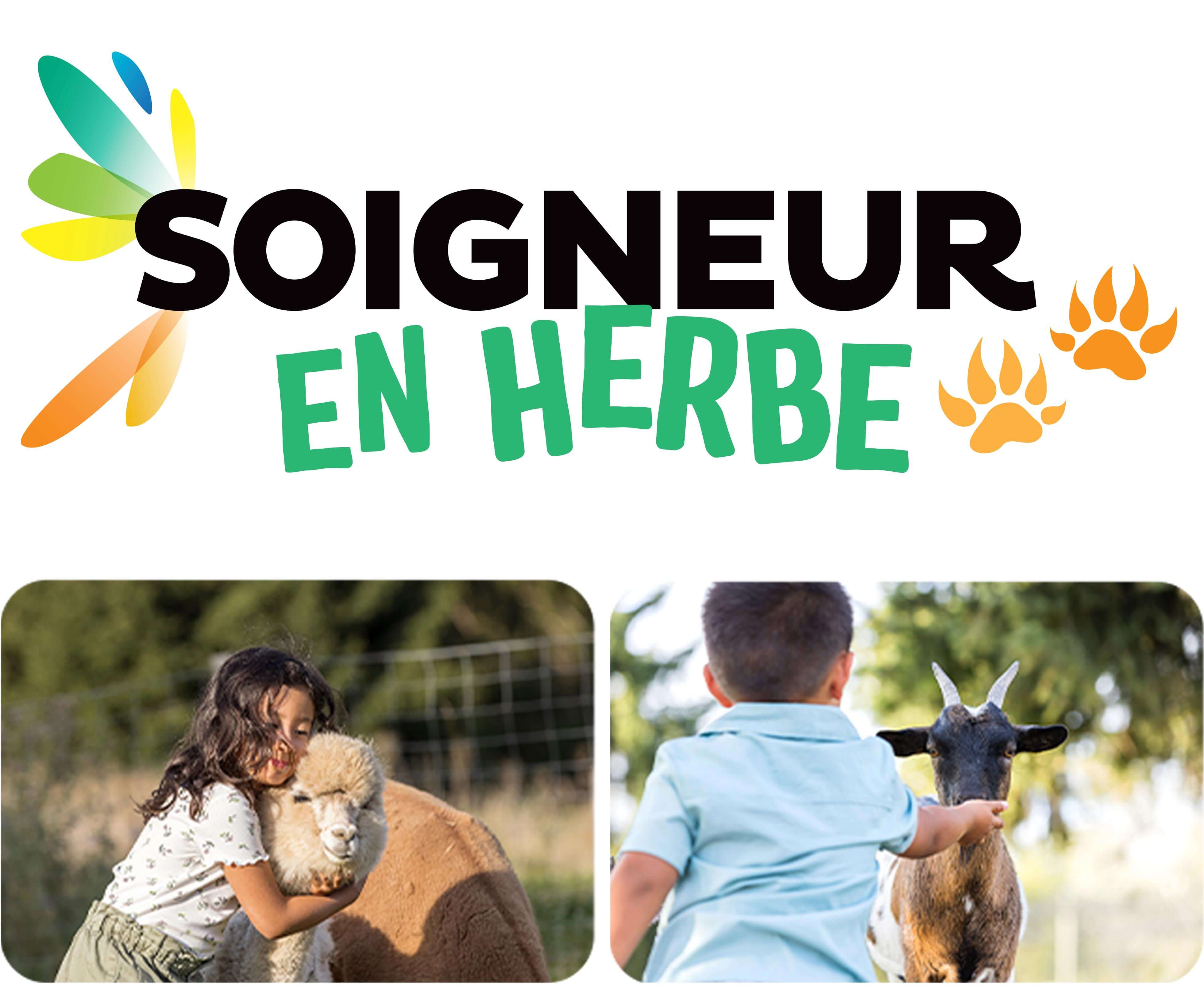 Soigneur en Herbe 8