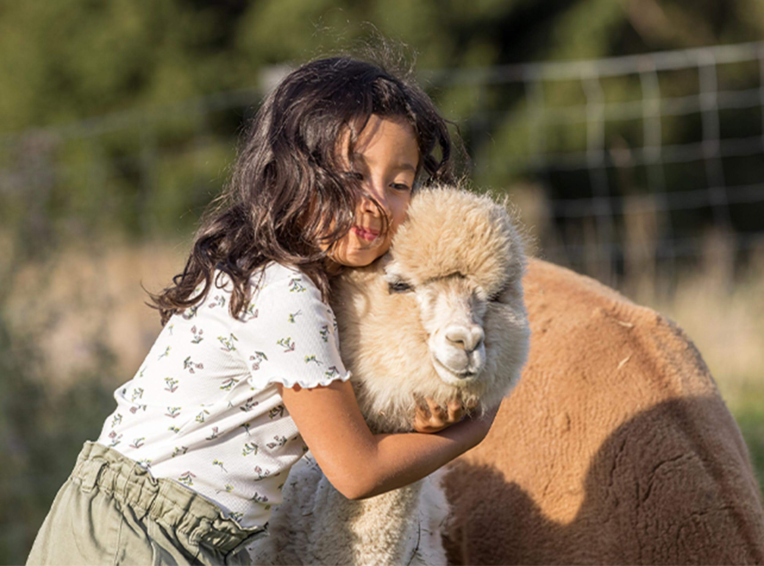 Soigneur en Herbe 12