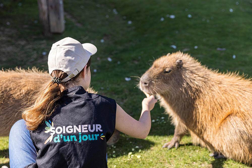 Parrot World - Soigneur d'un jour 1 ©Ronan ROCHER