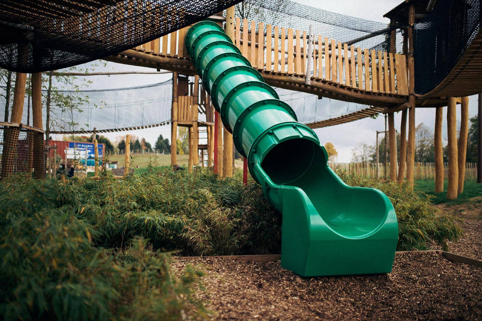 parrotworld-radeau descimes 