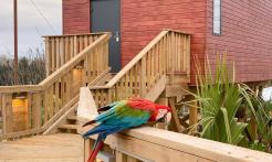 perroquet lodge village parrot world