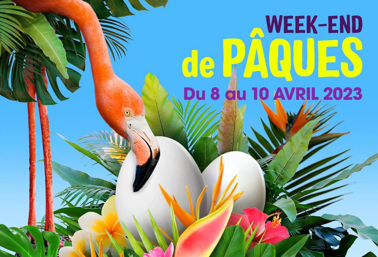 Paques_2023_Encart_Push_1316x896px