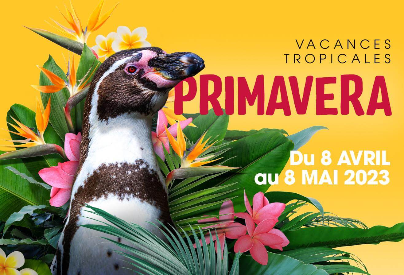 Primavera_2023_Encart_Push_1316x896px