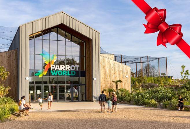 Idées cadeaux 2024 Pass Annuel | Parrot World
