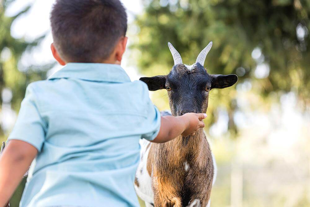 Parrot World - Activité sortie scolaire - L'éveil des sens - Très petite section