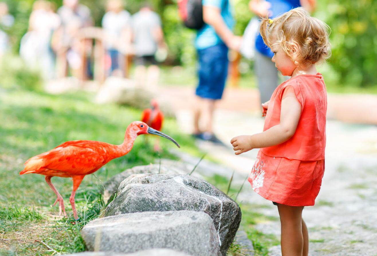 Parrot World - Activité sortie scolaire - Drôles de bêtes - CYCLE 1