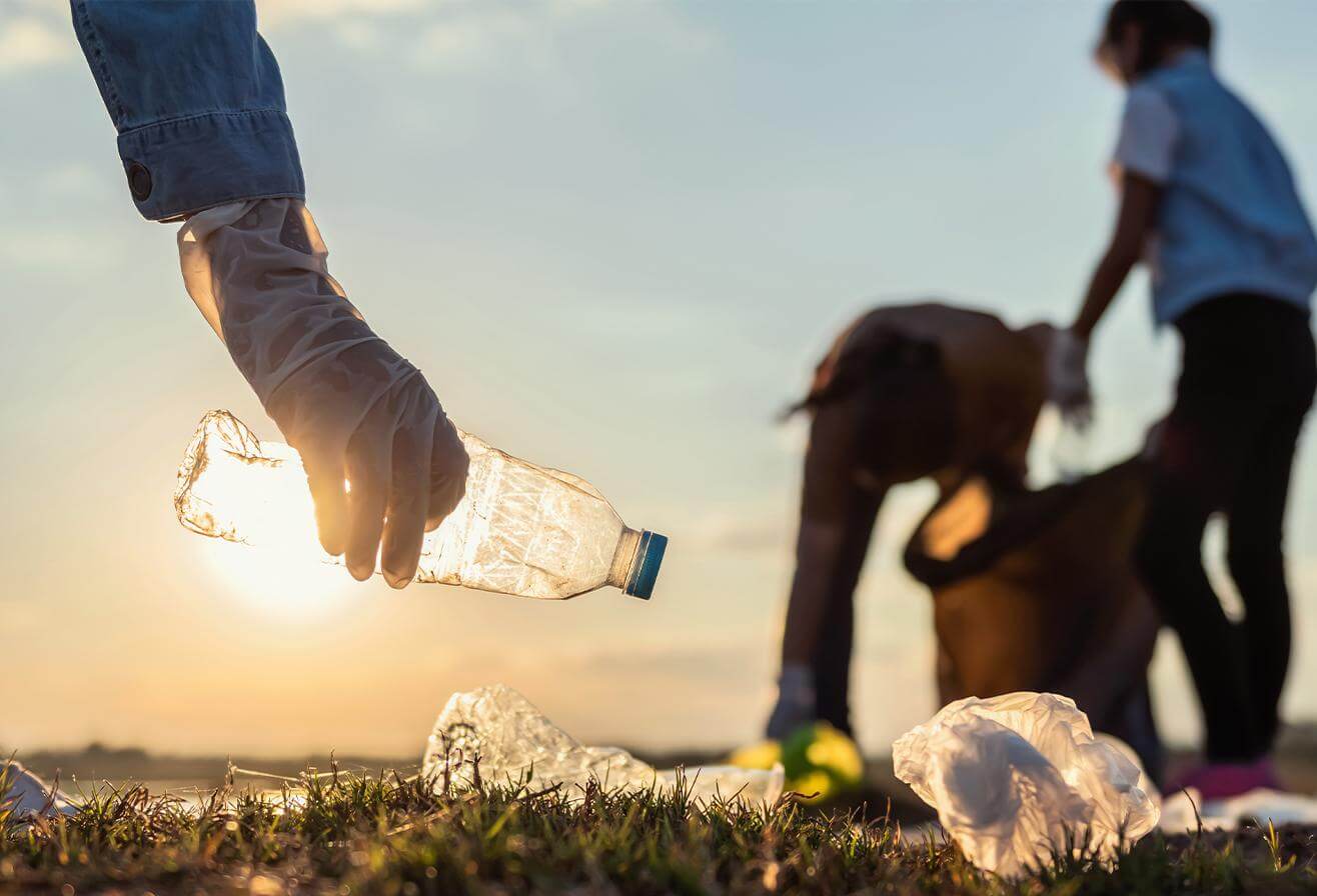 Parrot World - Activité sortie scolaire - Des petites actions aux grands actes  - CYCLE 4