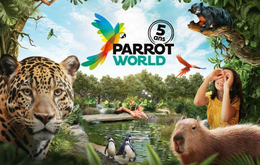 Anniversaire 5 ans de Parrot World