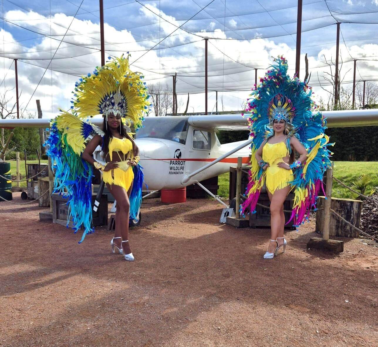 danseuses bresiliennes parrot world.jpg