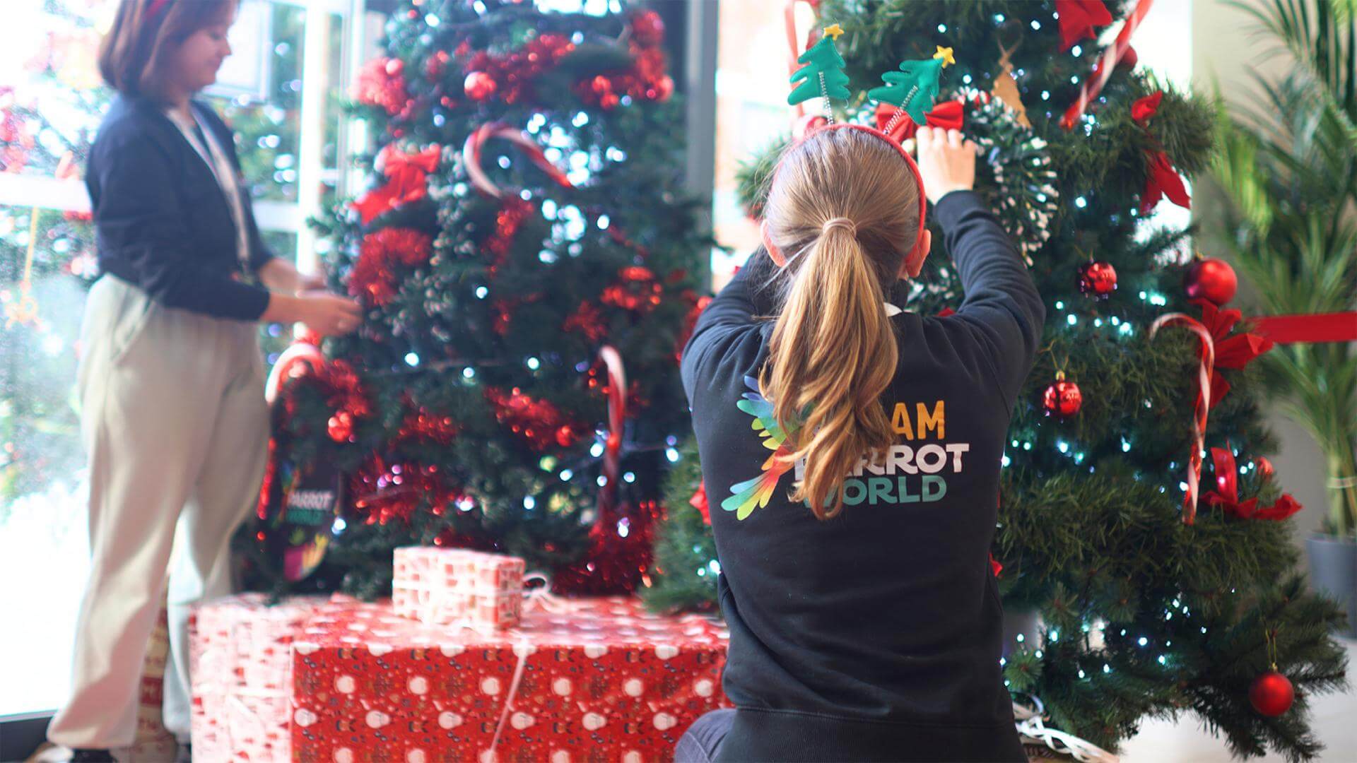 Parrot World - Noël.jpg