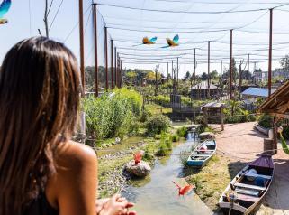 Lodge immersif face aux animaux près de Paris 