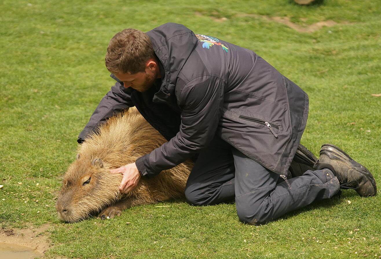 Sortie scolaire parc animalier Parrot World - Animation pédagogique Bien-être animal : la priorité des parcs animaliers modernes - Cycle 4