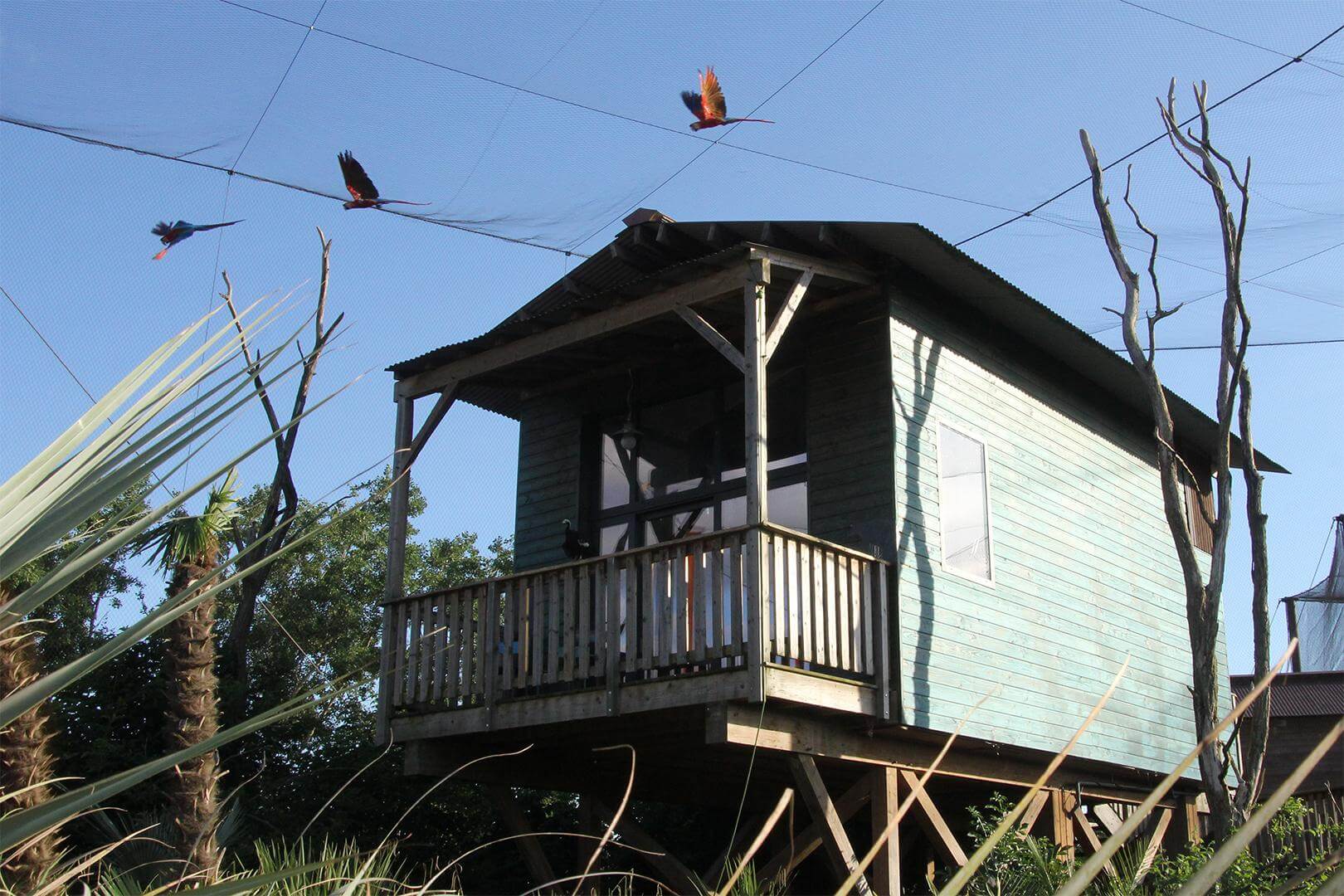 Parrot World - Lodge Amazonie - Dormir avec les animaux près de Paris