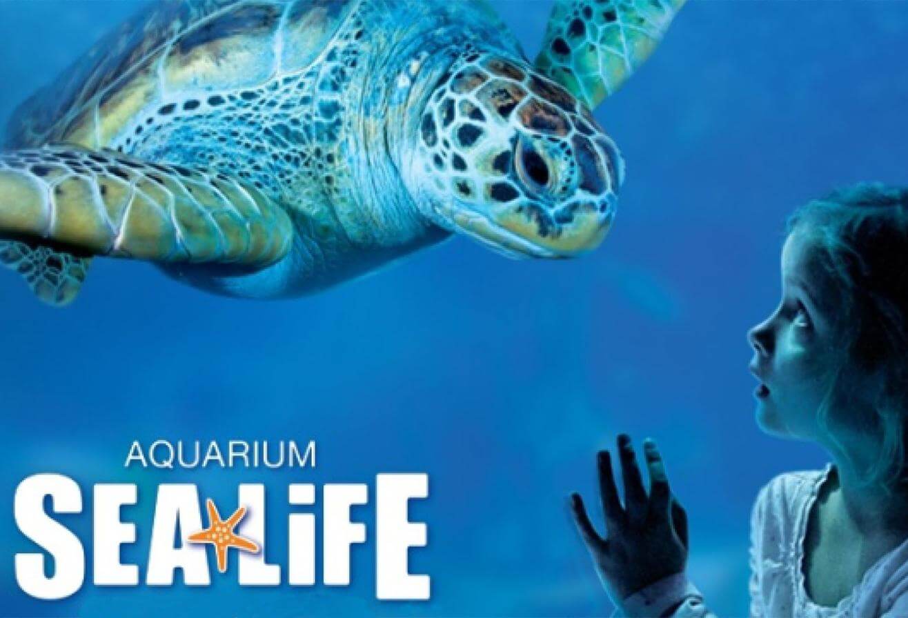Aquarium Sea Life - Que faire autour de Disneyland Paris - Le Guide Complet
