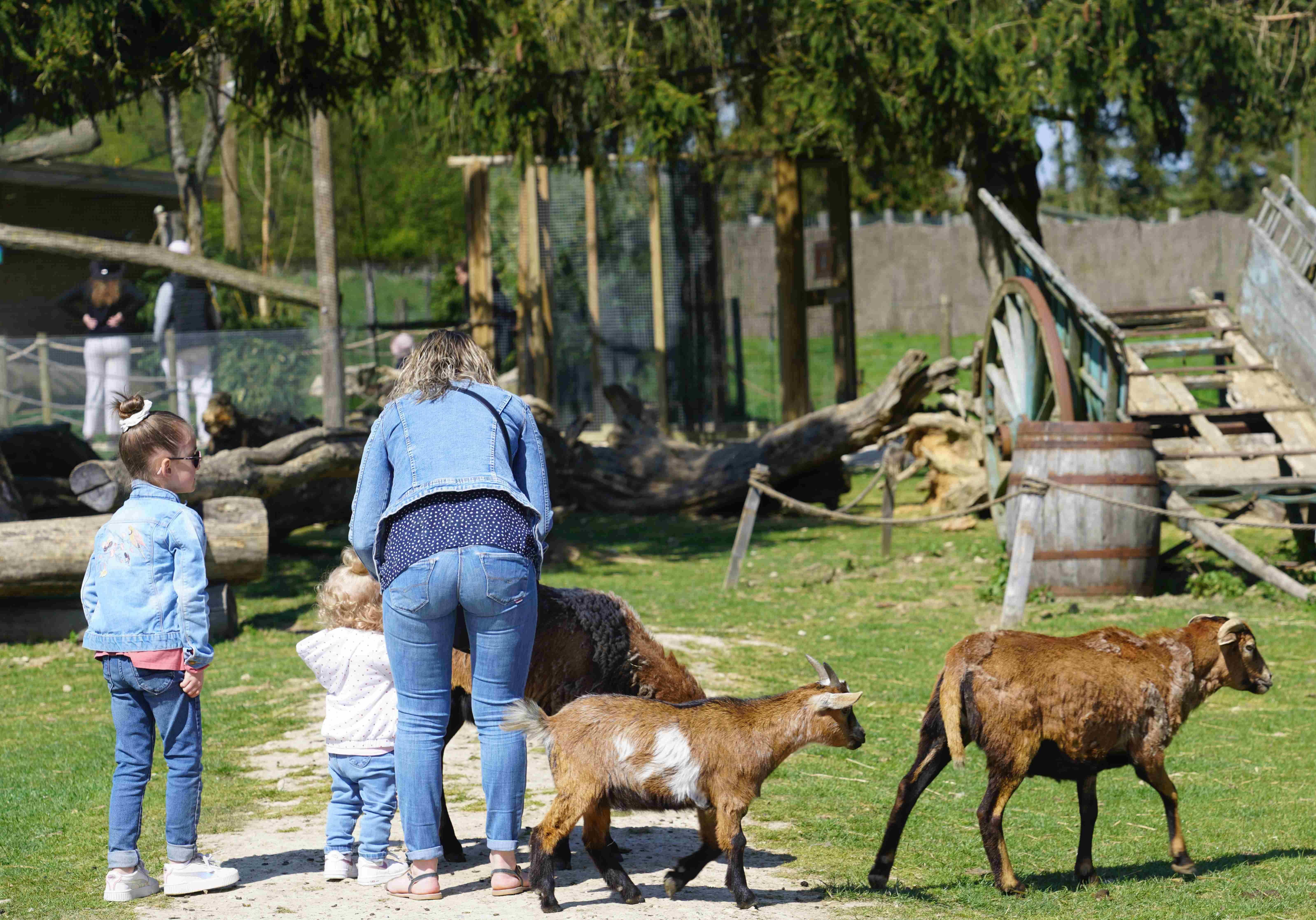 Parrot World parc animalier immersif 77 - Mini-ferme immersive - Que faire pour le pont de l'Ascension 2026 en Île-de-France