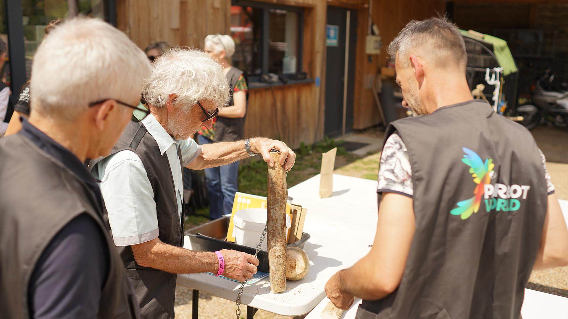 Atelier création enrichissements pour les perroquets - Week-end du perroquet