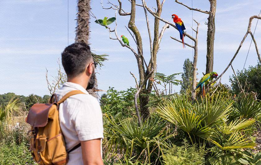 Privatisation du parc animalier Parrot World - Soirée d'entreprise et team building près de Paris en Île-de-France