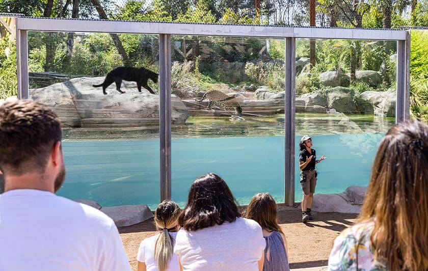 Visite guidée du parc avec un soigneur, activité de team building à Parrot World près de Paris