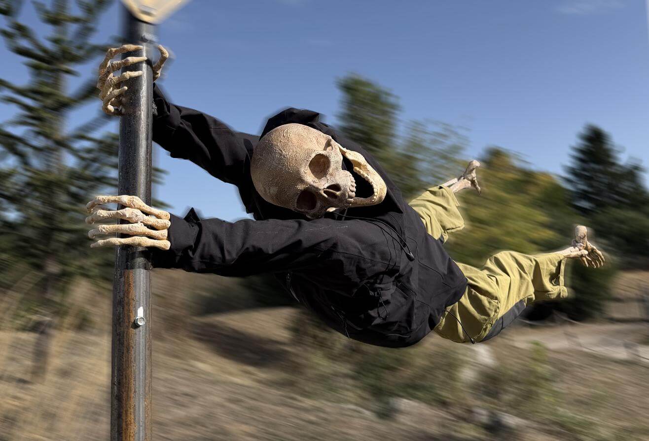 Halloween à Parrot World - squelettes humoristiques de Día de los Muertos 2026 en Île-de-France près de Paris