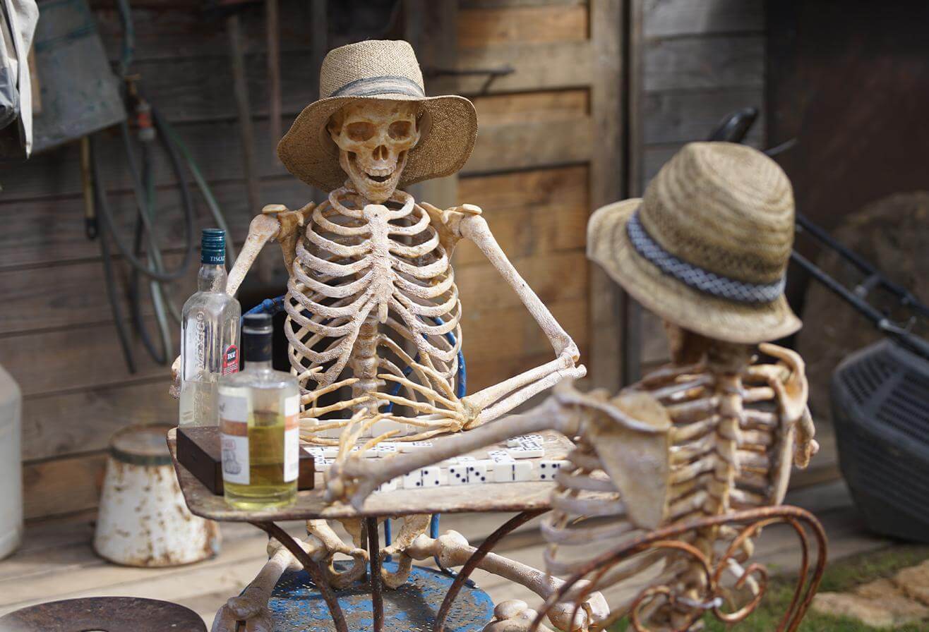 Halloween 2026 en Île-de-France - squelettes humoristiques avec animaux de Día de los Muertos à Parrot World, parc animalier près de Paris